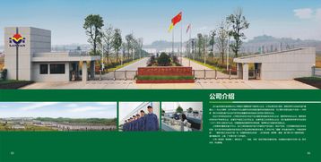 宜賓畫(huà)冊(cè)設(shè)計(jì)與農(nóng)產(chǎn)品包裝的藝術(shù)融合 從設(shè)計(jì)效果圖看品牌升級(jí)